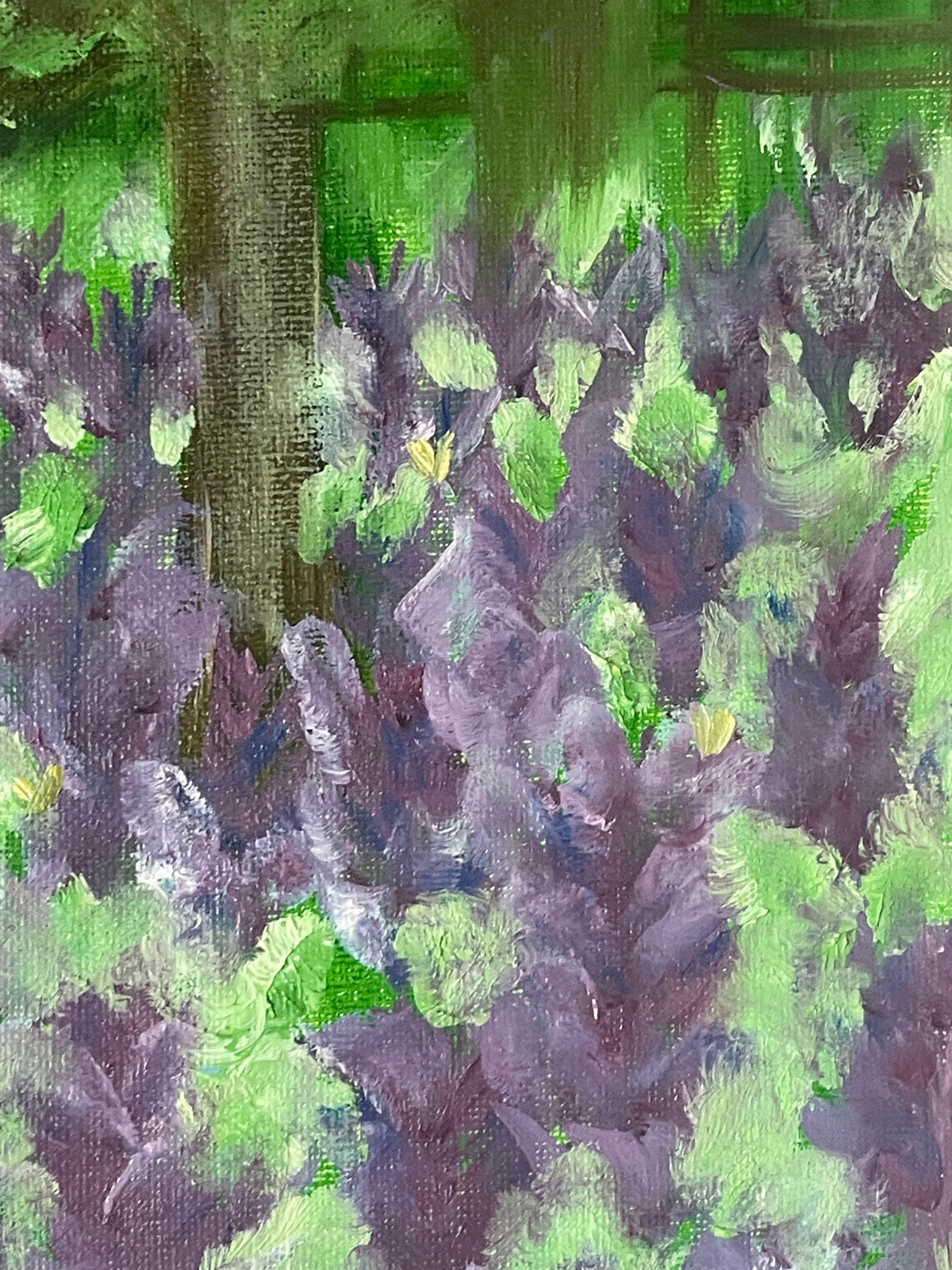 Rooted in Stillness
