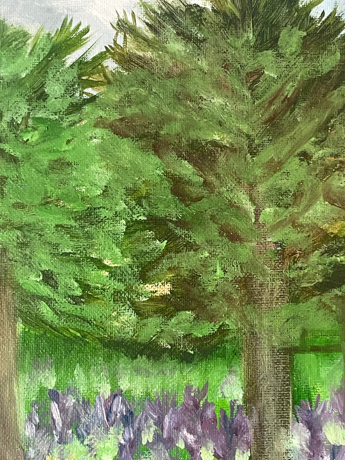 Rooted in Stillness