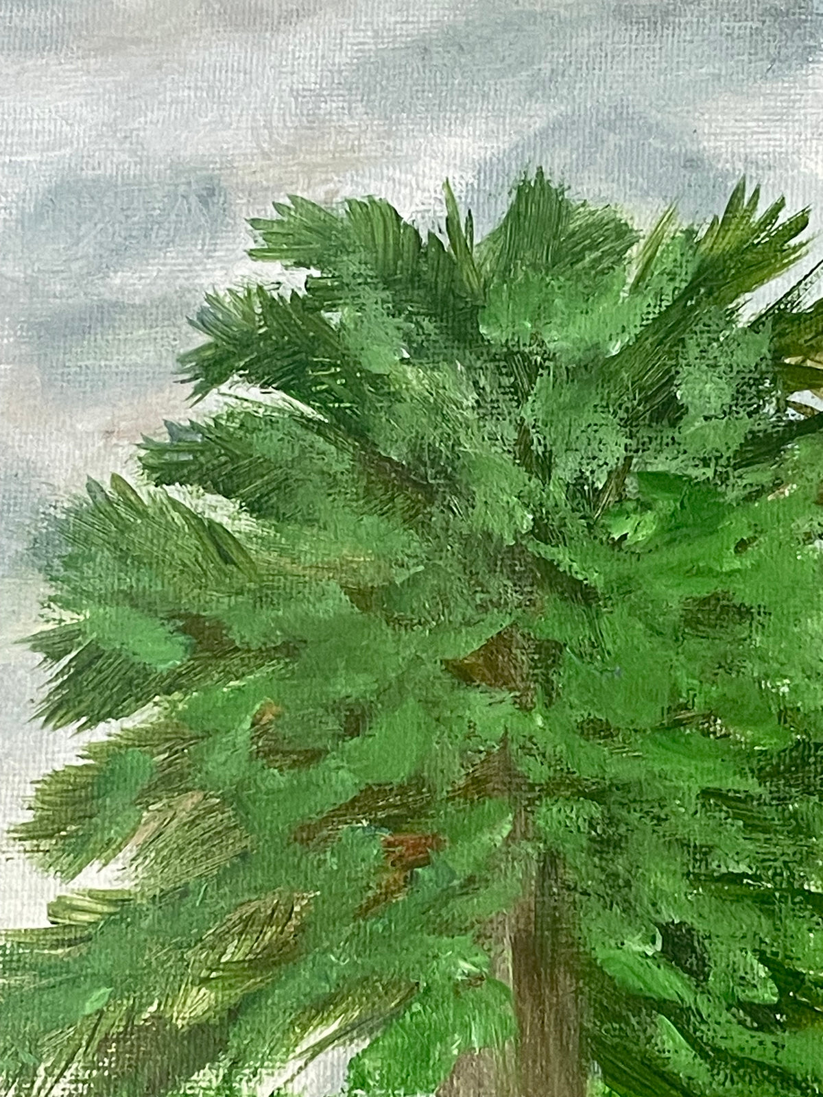 Rooted in Stillness