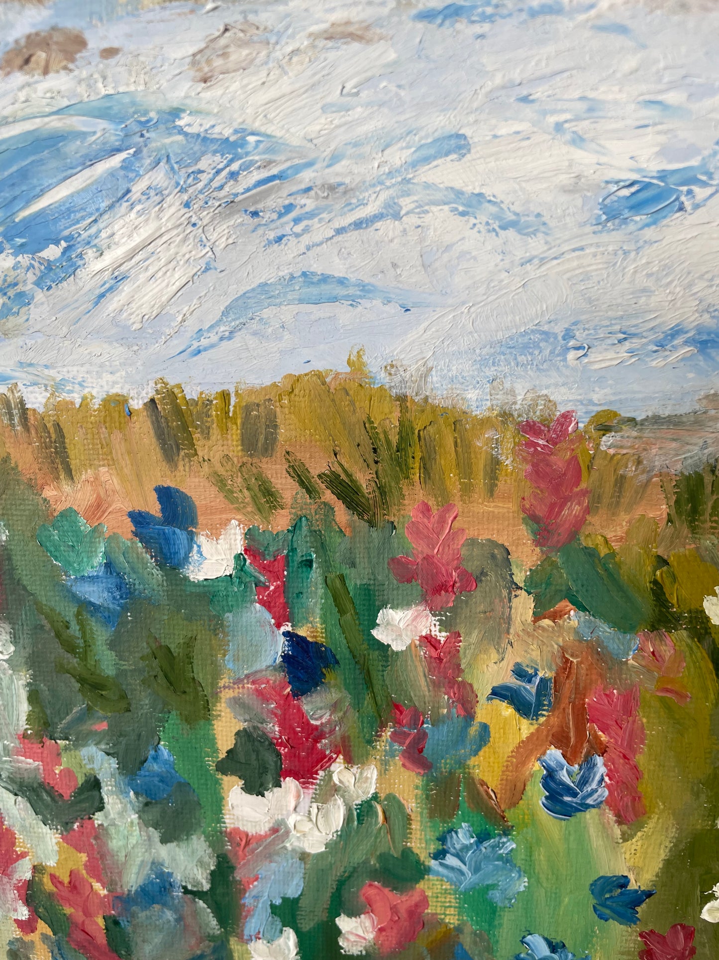 Blooming by the Bay